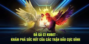 Đá gà C1 Kubet khám phá trận đấu cực đỉnh