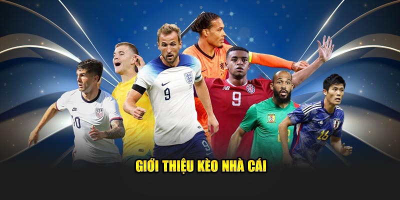 Giới thiệu tổng quan về kèo nhà cái Kubet