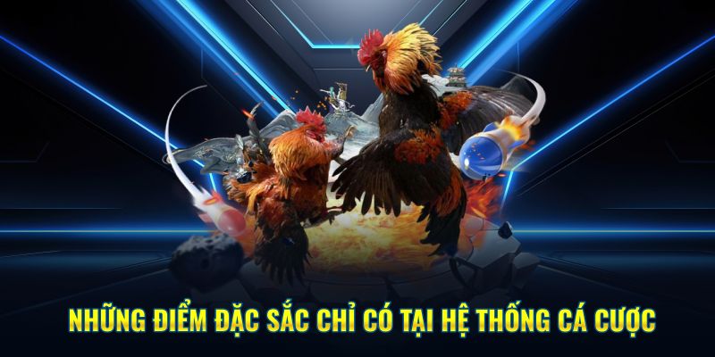 Những điểm nổi bật chỉ có tại hệ thống Kubet cá cược