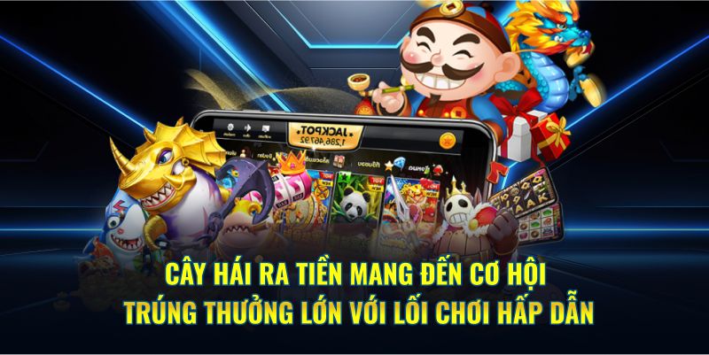 Cây Hái Ra Tiền Kubet mang đến cơ hội trúng thưởng lớn