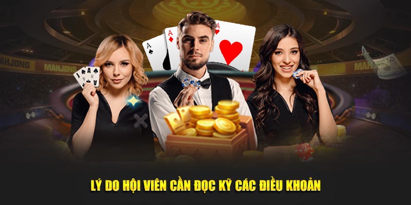 Lý do hội viên cần đọc kỹ các điều khoản tại Kubet